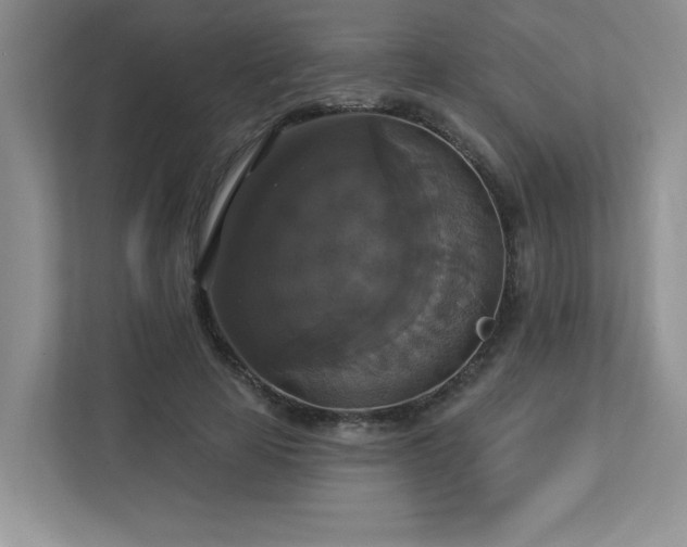 X0000112910641200908241207