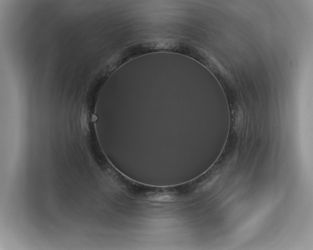 X0000112910643200908241207