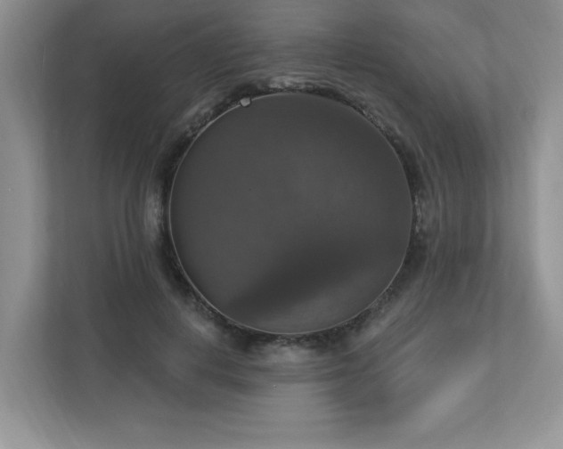 X0000112910648200908241207