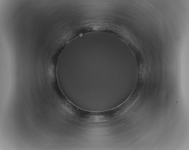 X0000112910650200908241207