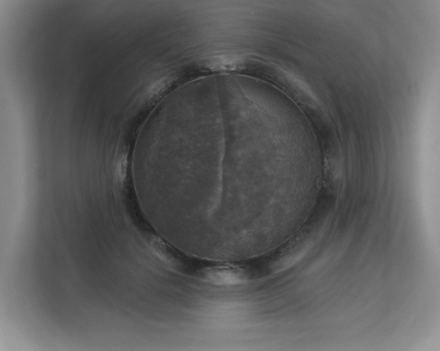 X0000112910652200908241207