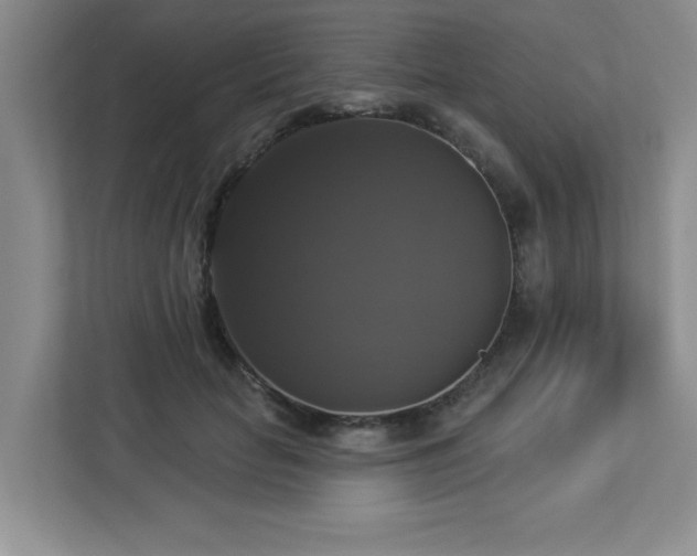 X0000112910653200908241207