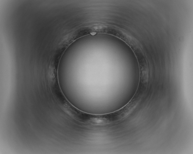 X0000112910654200908241207