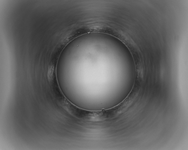 X0000112910660200908241207