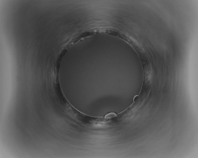 X0000112910661200908241207