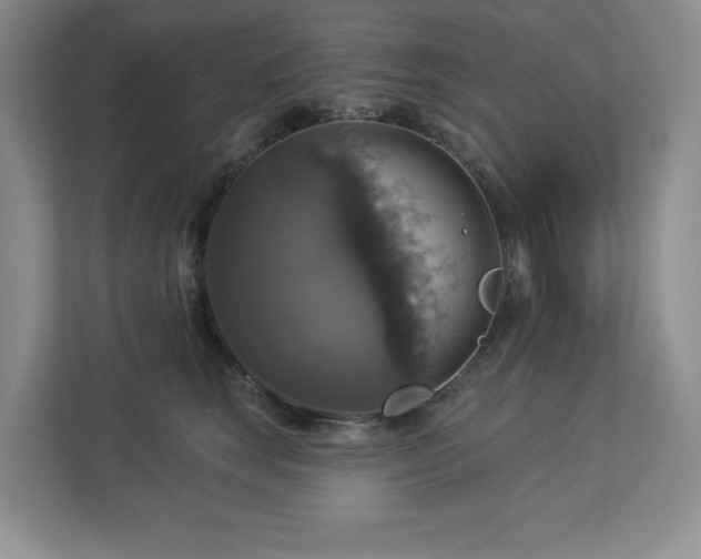 X0000112910663200908241207