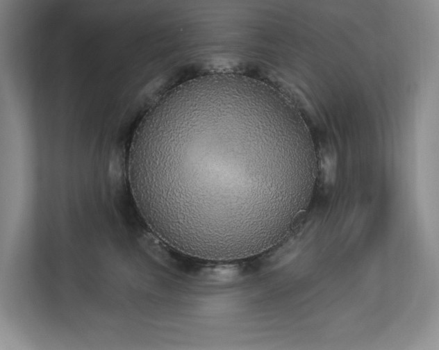 X0000112910665200908241207