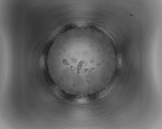 X0000112910667200908241207