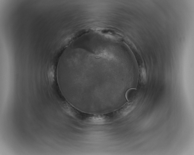 X0000112910668200908241207