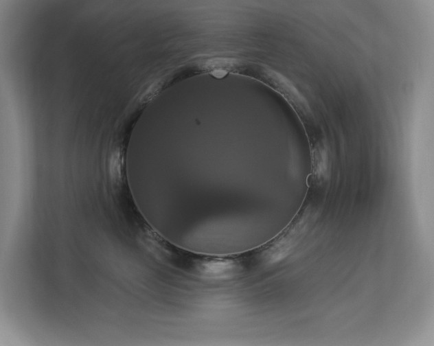 X0000112910669200908241207