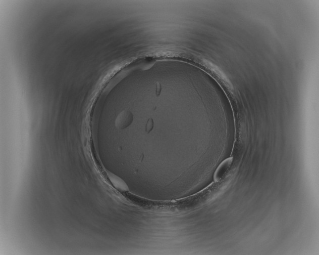 X0000112910673200908241206