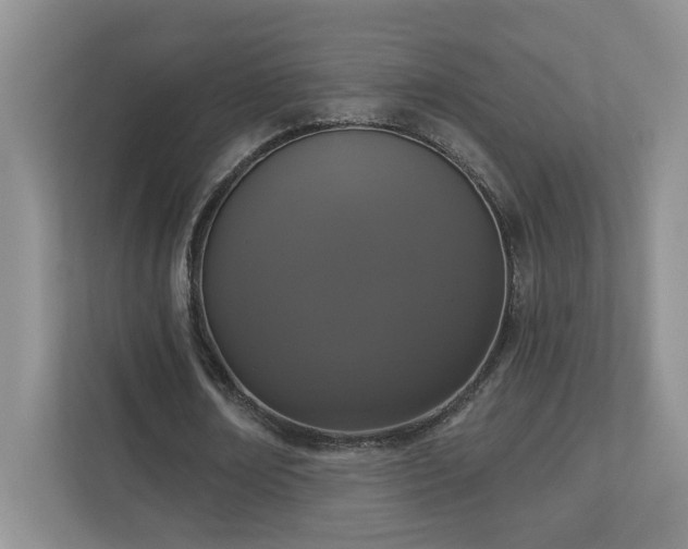 X0000112910674200908241206