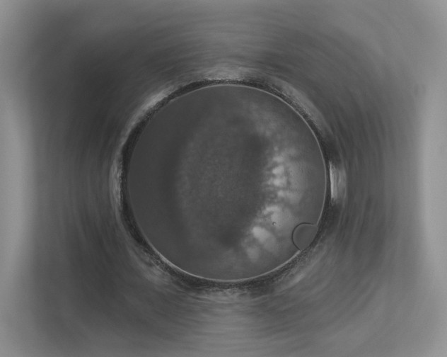 X0000112910675200908241206