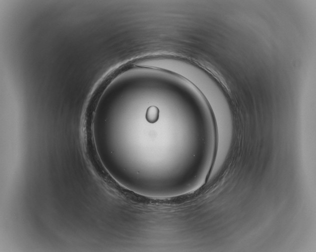 X0000112910676200908241206