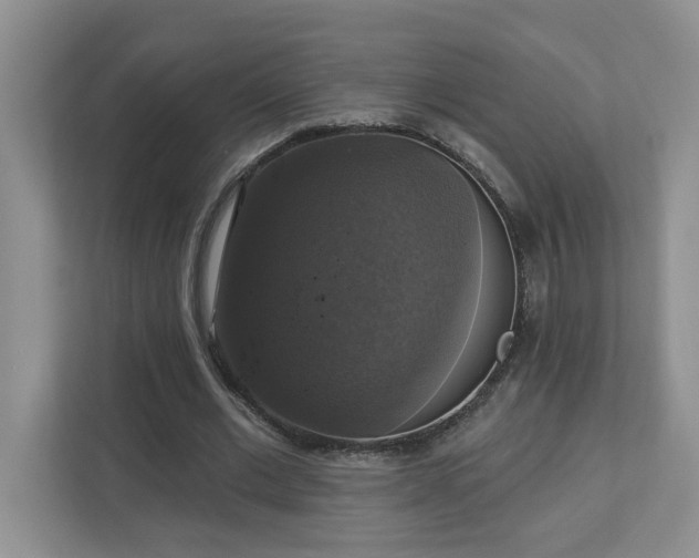 X0000112910677200908241206