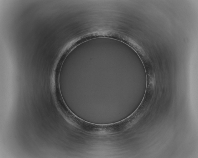 X0000112910678200908241206