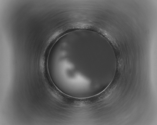 X0000112910679200908241206