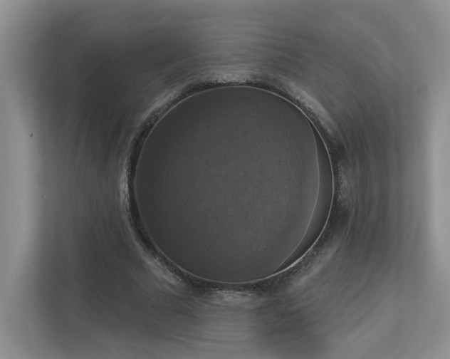 X0000112910681200908241206