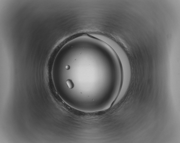 X0000112910684200908241206