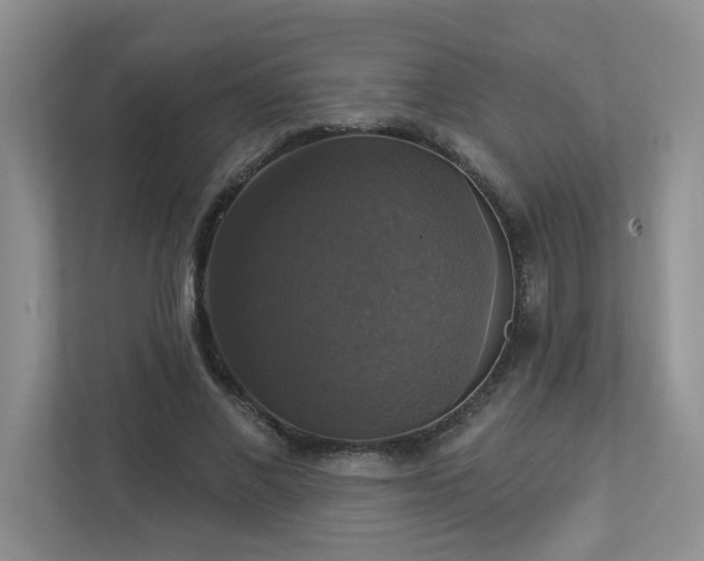 X0000112910685200908241206