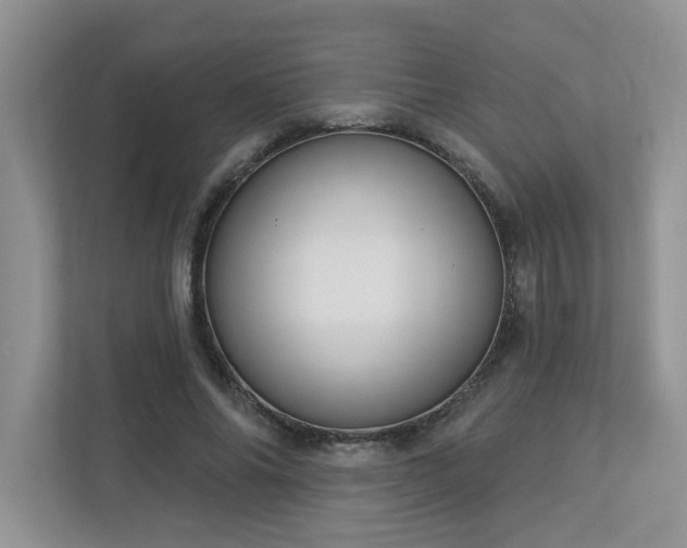 X0000112910686200908241206