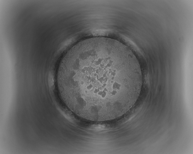 X0000112910687200908241206