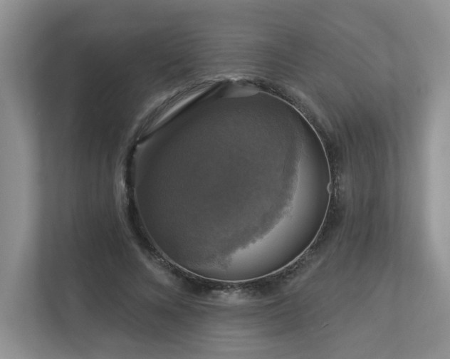 X0000112910688200908241206