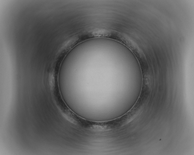 X0000112910690200908241206