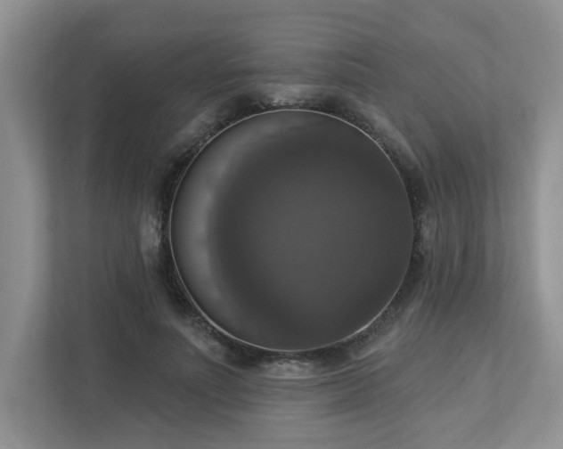 X0000112910691200908241206