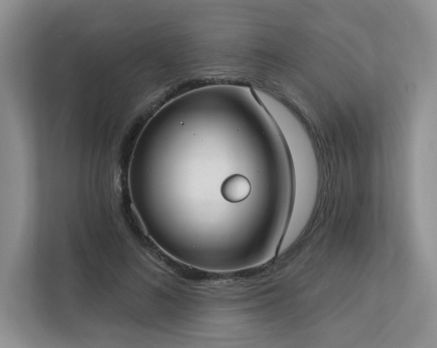 X0000112910692200908241206