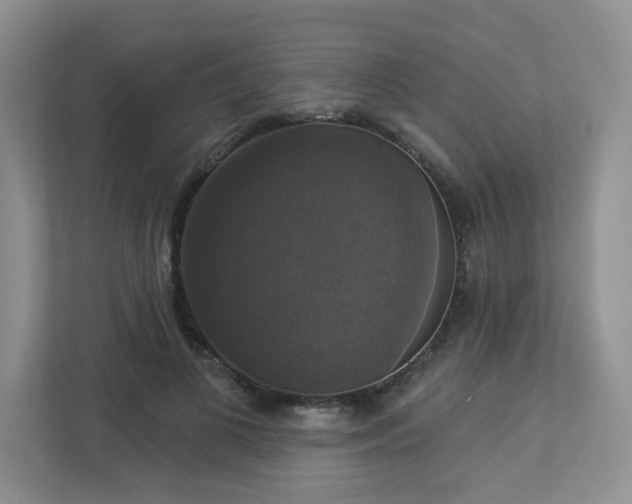 X0000112910693200908241206