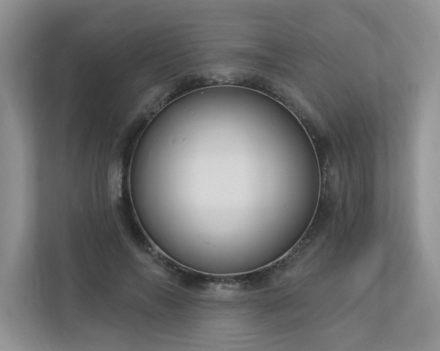 X0000112910694200908241206