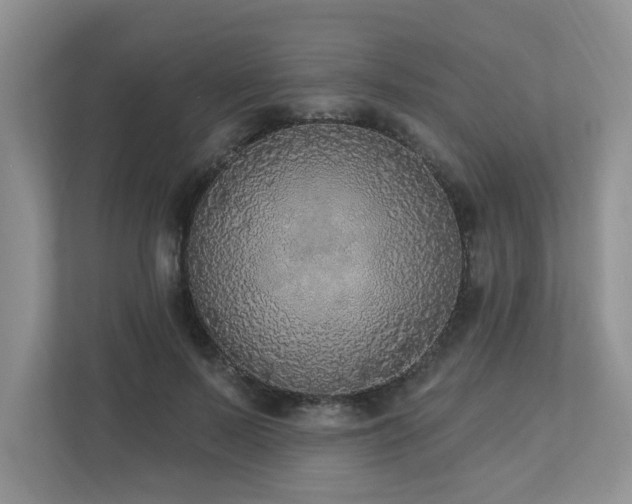 X0000112910695200908241206