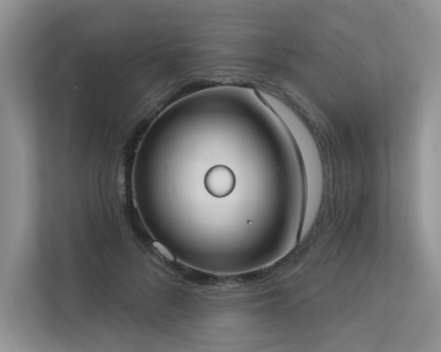 X0000112910696200908241206