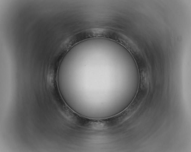 X0000112910698200908241206