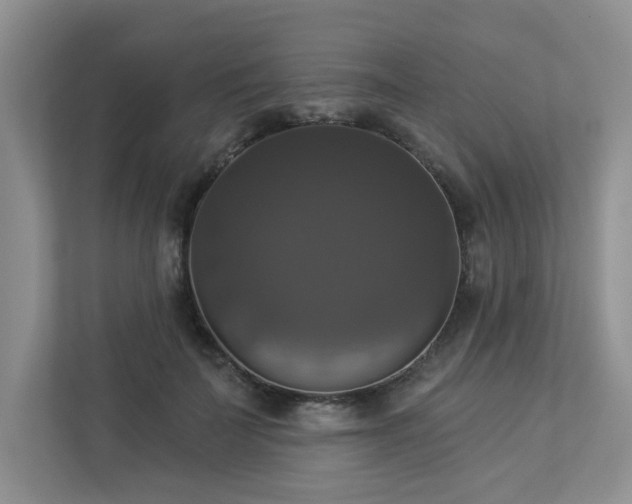 X0000112910699200908241206