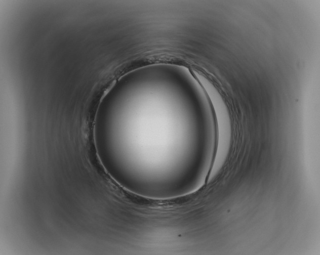 X0000112910701200908241206