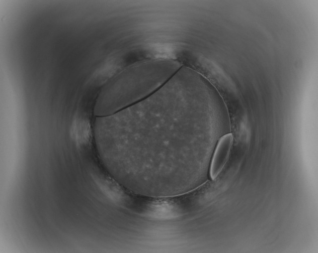 X0000112910704200908241206