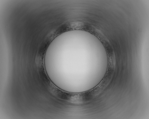 X0000112910705200908241206