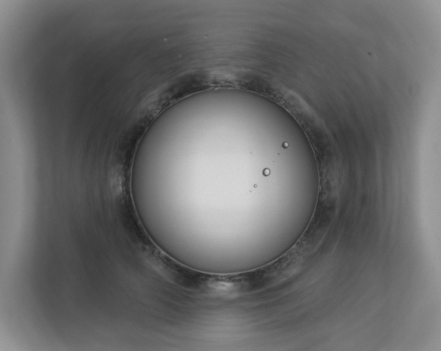 X0000112910706200908241206