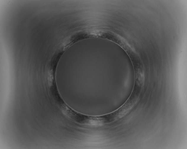 X0000112910707200908241206