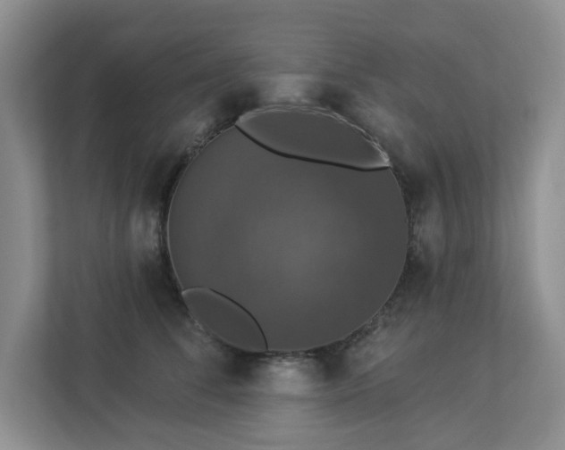 X0000112910708200908241206