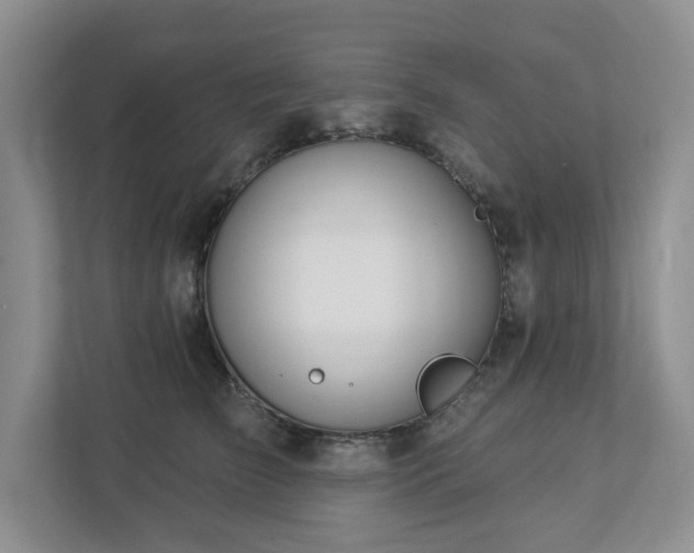 X0000112910709200908241206