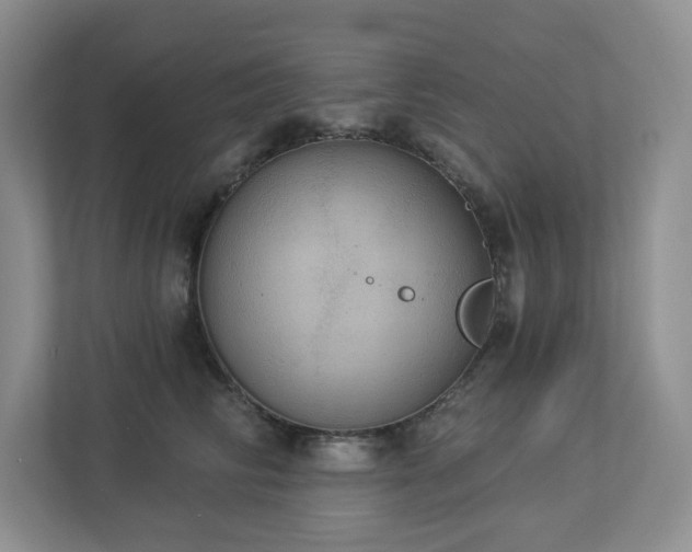 X0000112910710200908241206