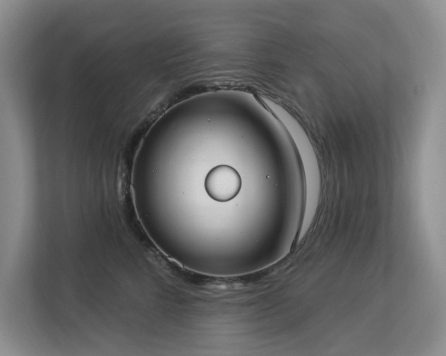 X0000112910712200908241206