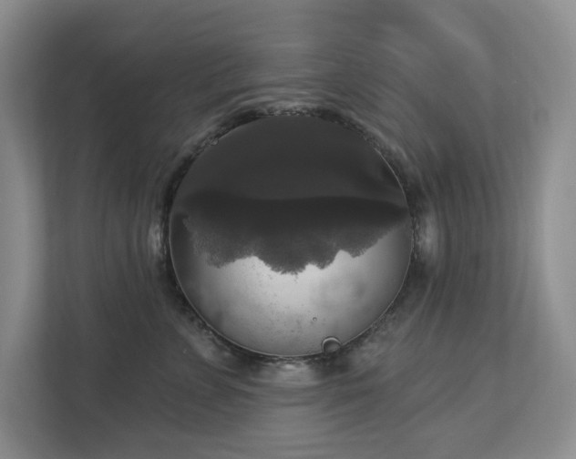 X0000112910715200908241206