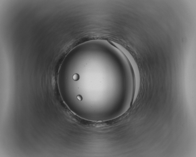 X0000112910716200908241206