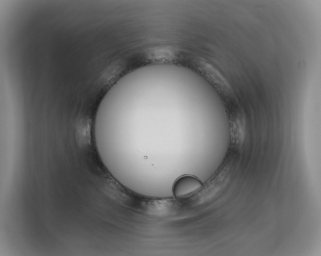 X0000112910717200908241206