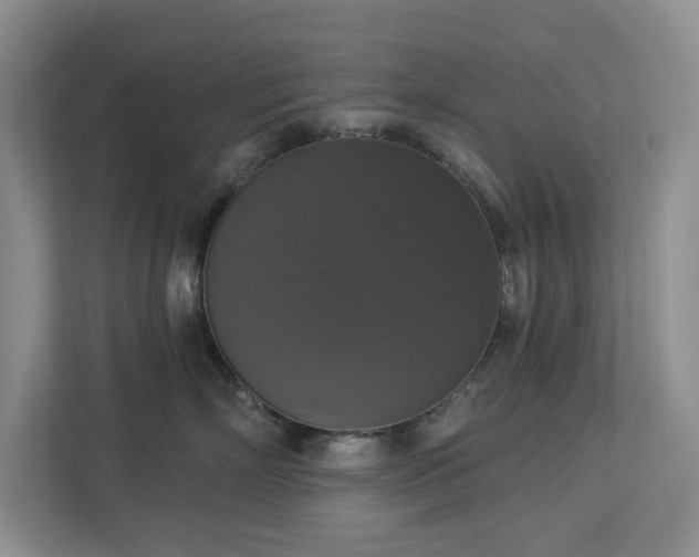 X0000112910718200908241206