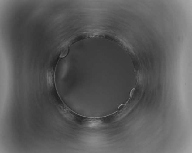 X0000112910719200908241206